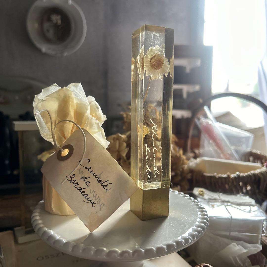 ローダンセ 真鍮 樹脂標本 errer 植物標本