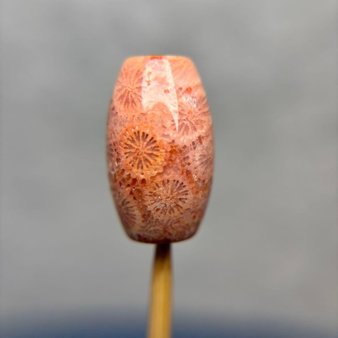 ユッキーフォッシルコーラル　天珠　1-329