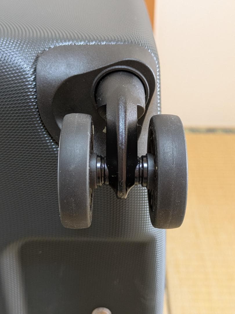 アメリカンツーリスター ツイストウェーブス スピナー77 Lサイズ