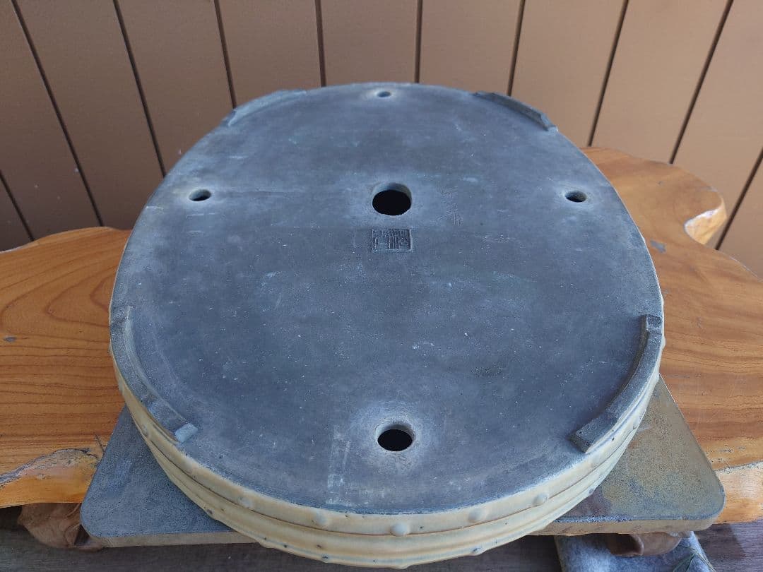 盆栽　鉢　緑巳斉春松　幅54.cm