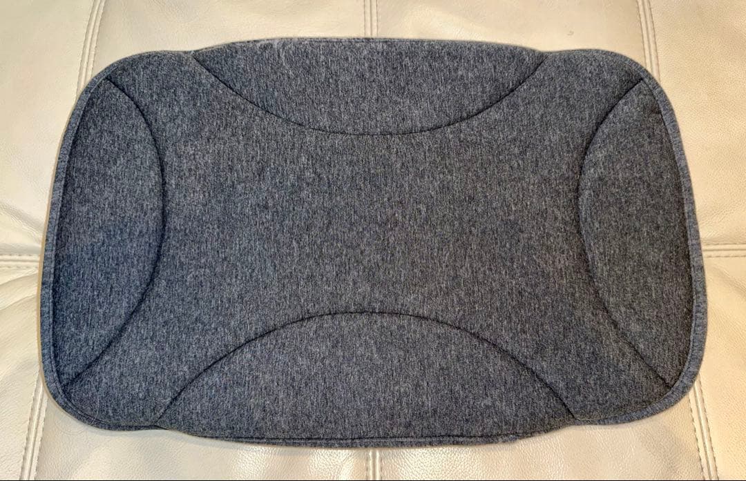 AIRBUGGY WIZ Xディムグレー ペットカート オールインですぐ使える