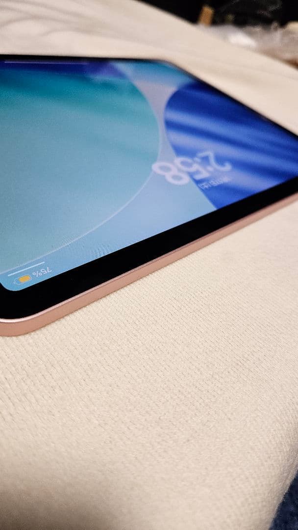 美品　ipad Air 4 【256gb】