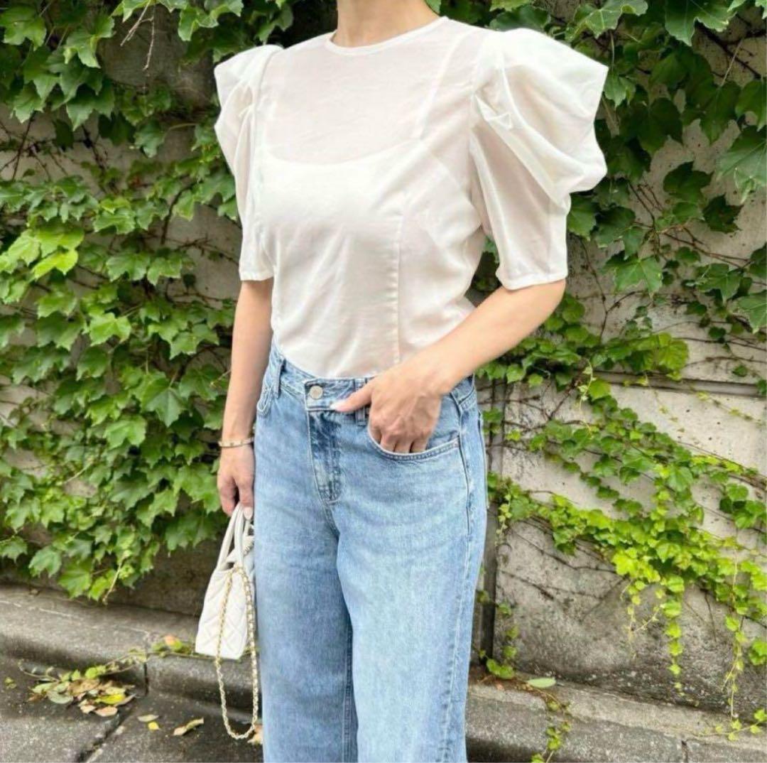 【美品】Cygne(シーニュ) シースルー半袖トップス mari サイズ1