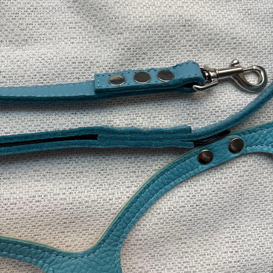 美品バディーベルト&レザーリードセット