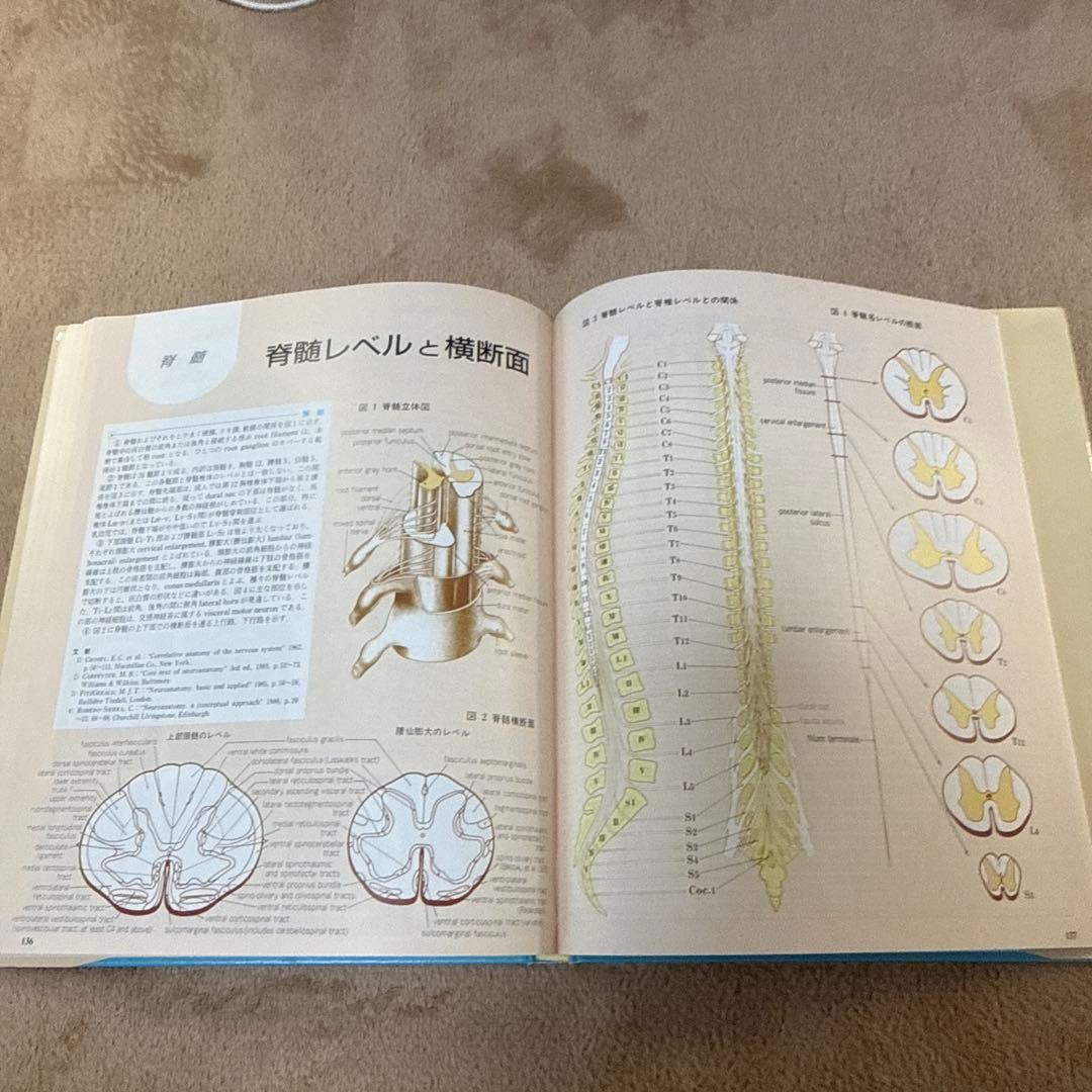 医学書　臨床のための神経機能解剖学　定価:税込¥17,600