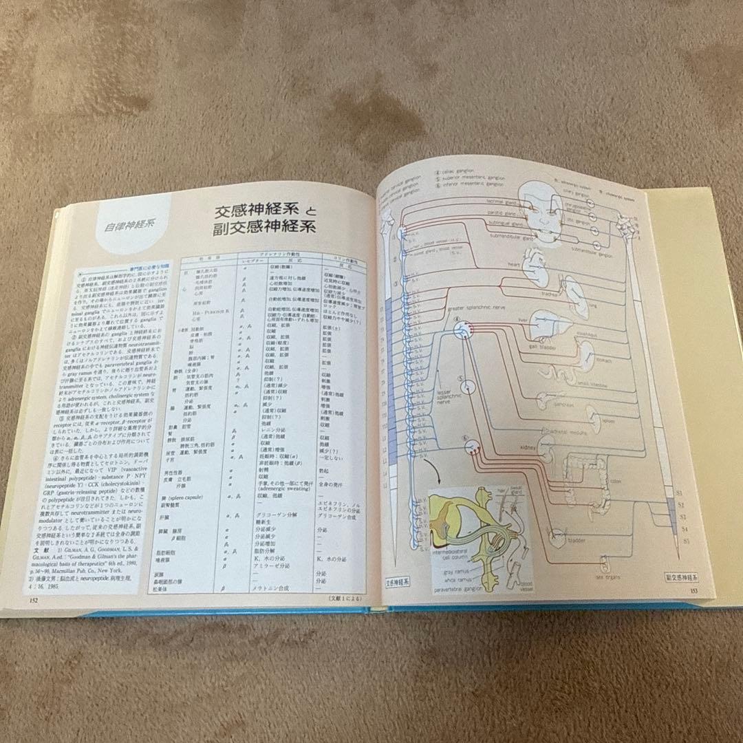 医学書　臨床のための神経機能解剖学　定価:税込¥17,600