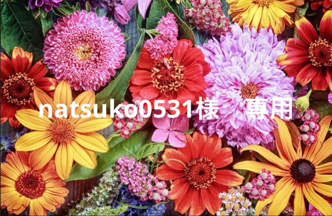 natsuko0531