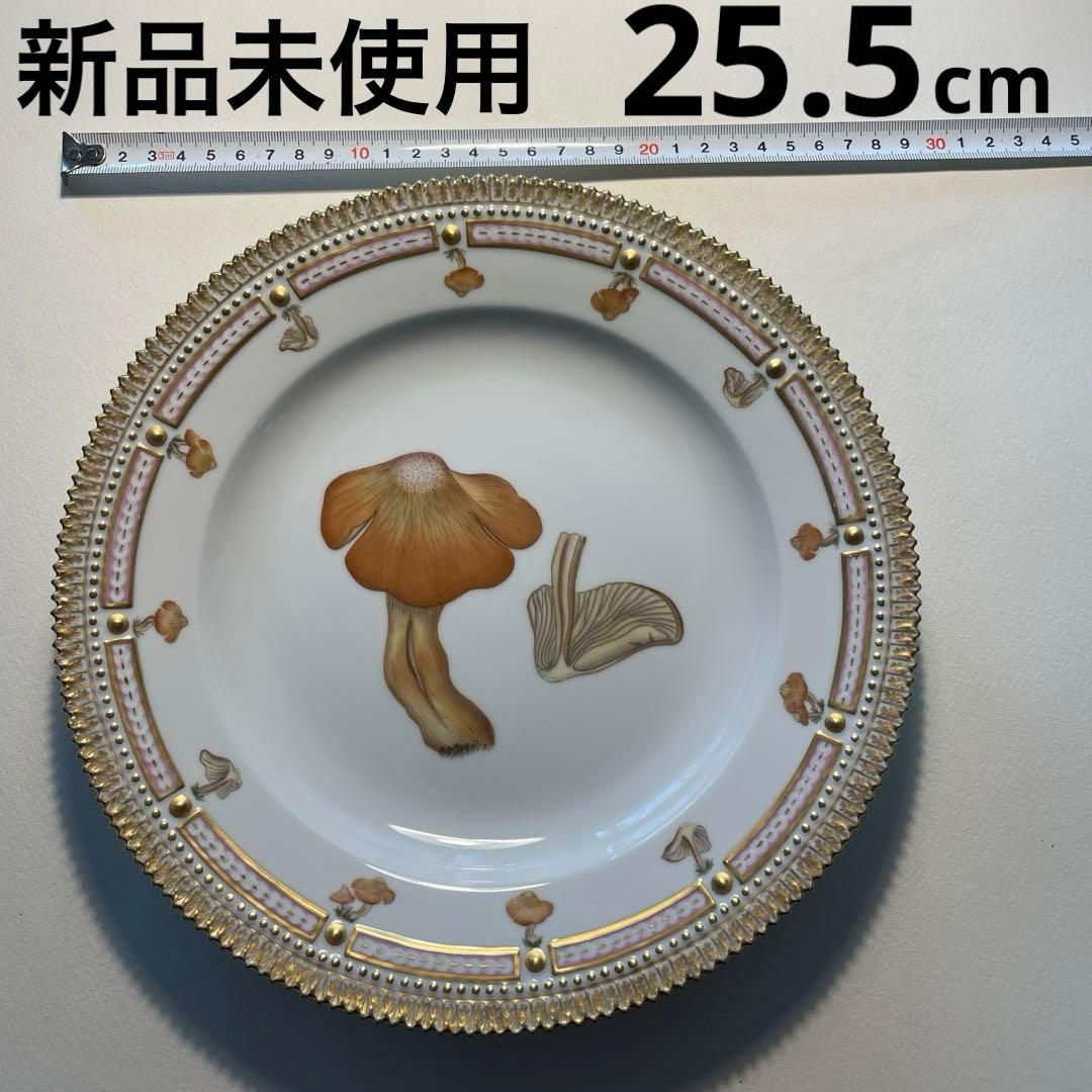 ロイヤルコペンハーゲン　フローラダニカ　大皿25.5cm 新品未使用キノコ柄貴重