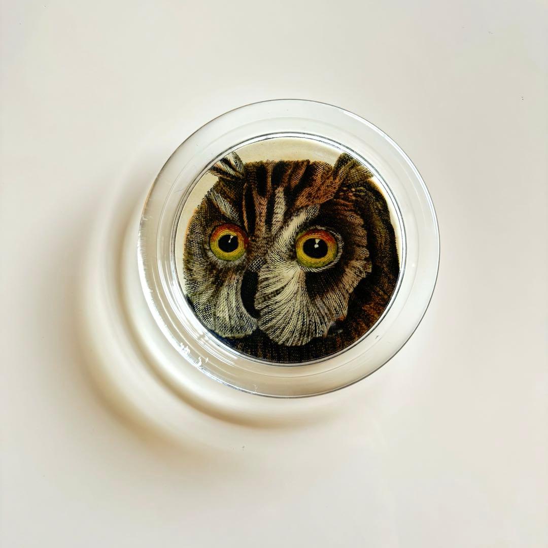 【美品】JOHN DERIAN/ジョンデリアン/フクロウ/デコパージュ/トレイ