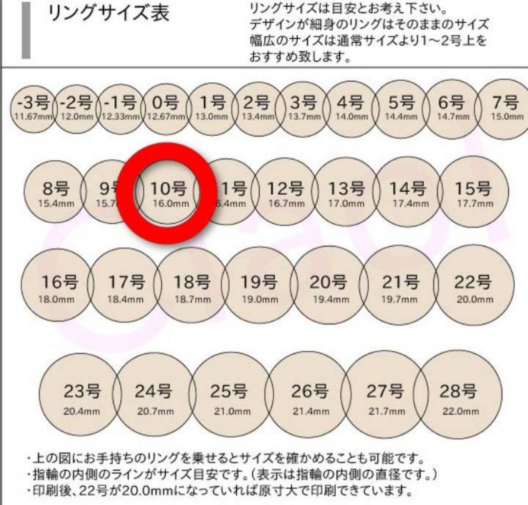 最終※希少 ノースワークス 1ドル モーガン 肉厚 リング 指輪 10号
