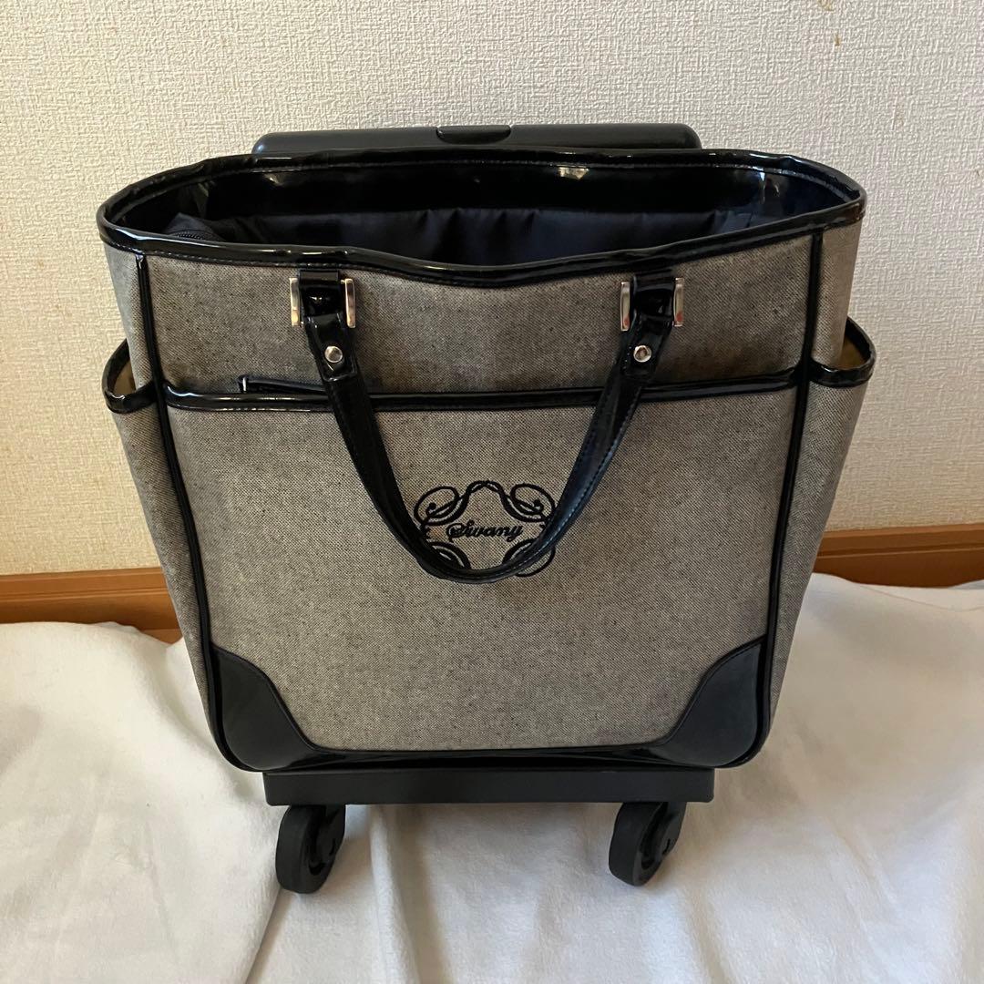【美品】SWANY スワニー 4輪キャリーバッグ 機内持ち込可　モノグラーモ