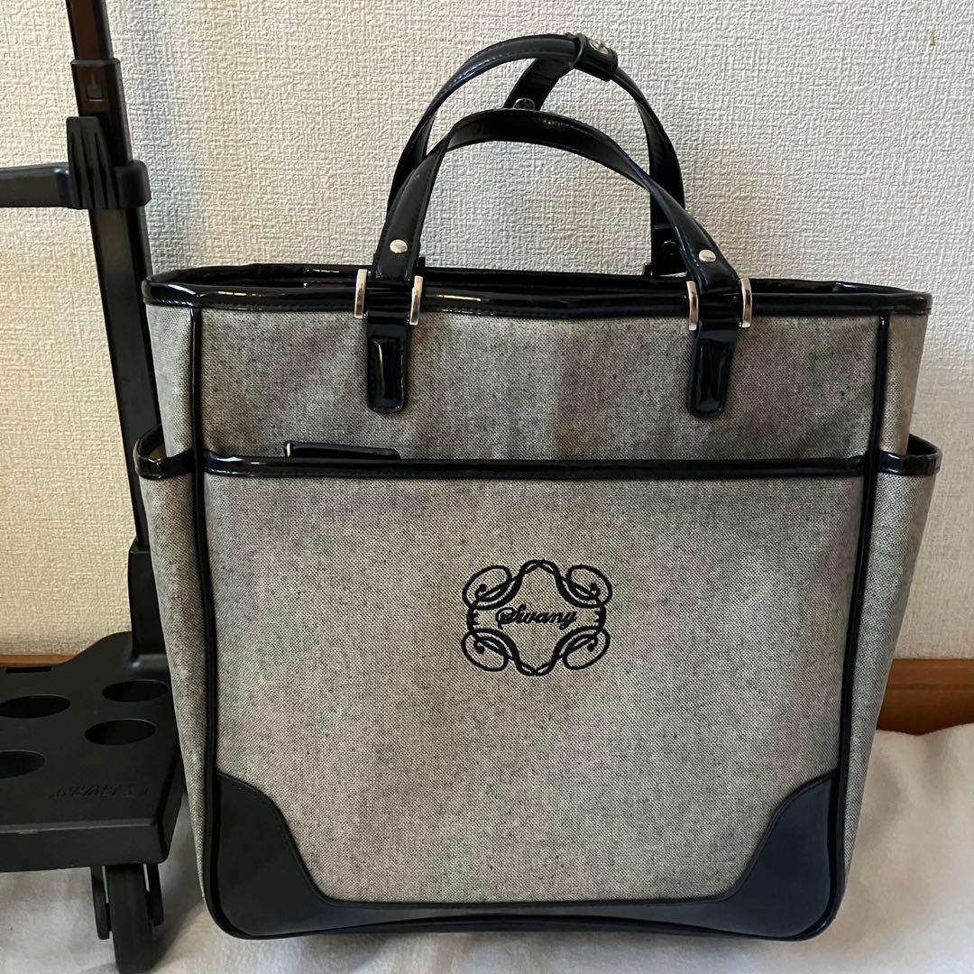 【美品】SWANY スワニー 4輪キャリーバッグ 機内持ち込可　モノグラーモ
