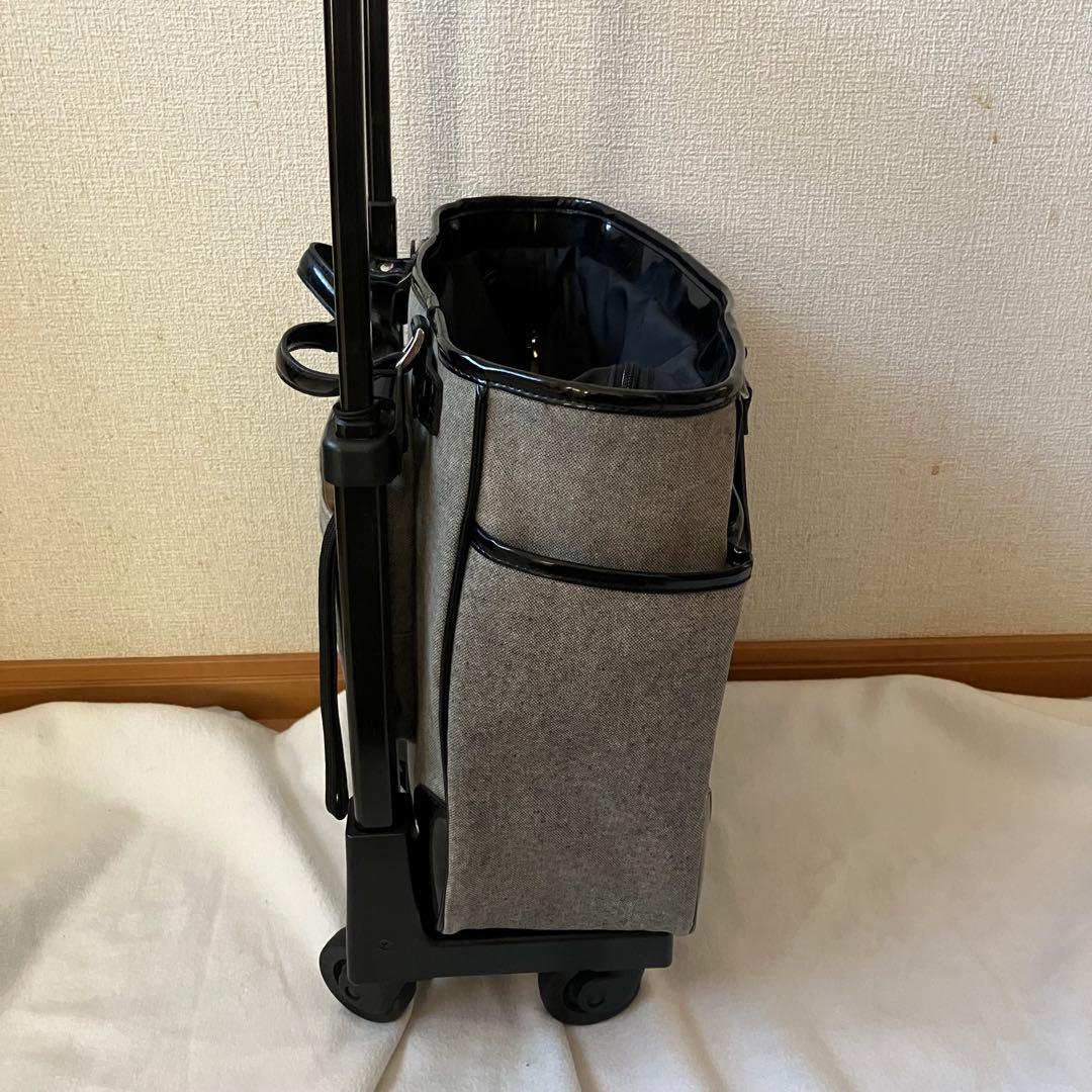 【美品】SWANY スワニー 4輪キャリーバッグ 機内持ち込可　モノグラーモ