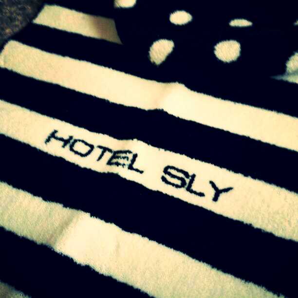 ホテルスライ♡toiletカバー