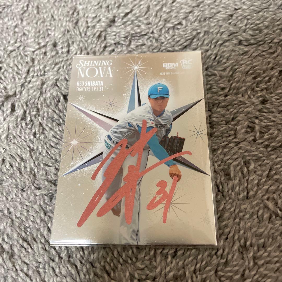 柴田獅子 赤箔サインカード25枚限定