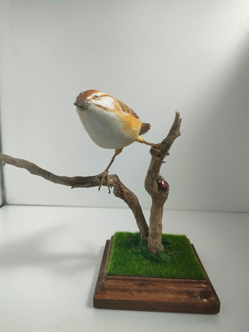 セッカ　バードカービング