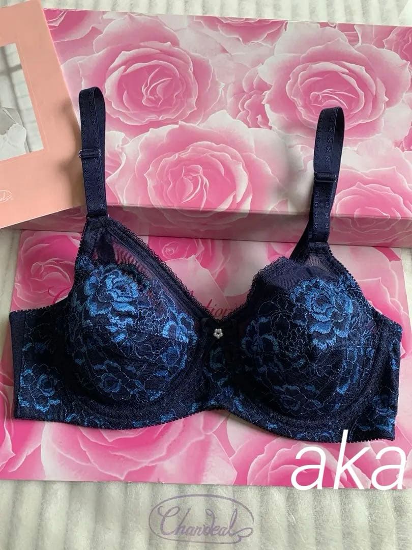 シャンデールサファイアブルーC75ブラジャー新品未使用