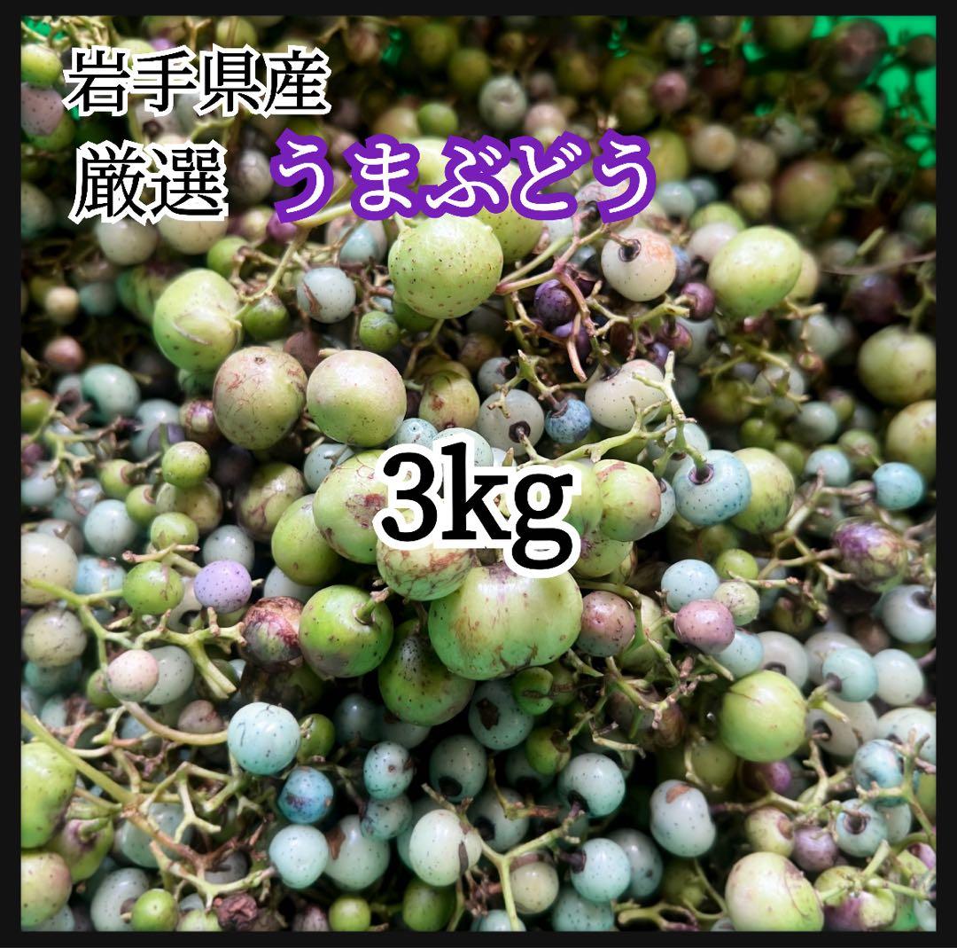 岩手県産 3kg 野ぶどう うまぶどう　冷凍クール便　薬膳　うまぶどう酒