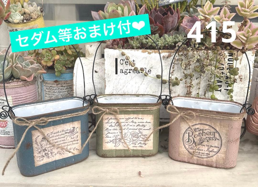 リメイク缶415☆多肉植物☆寄せ植え☆インテリア