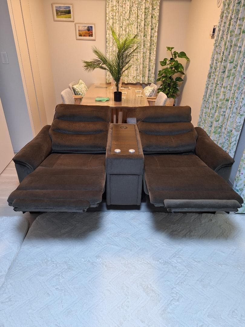 【美品・3ヶ月使用】ニトリ電動リクライニングソファ Nビリーバ3 収納付2人掛け