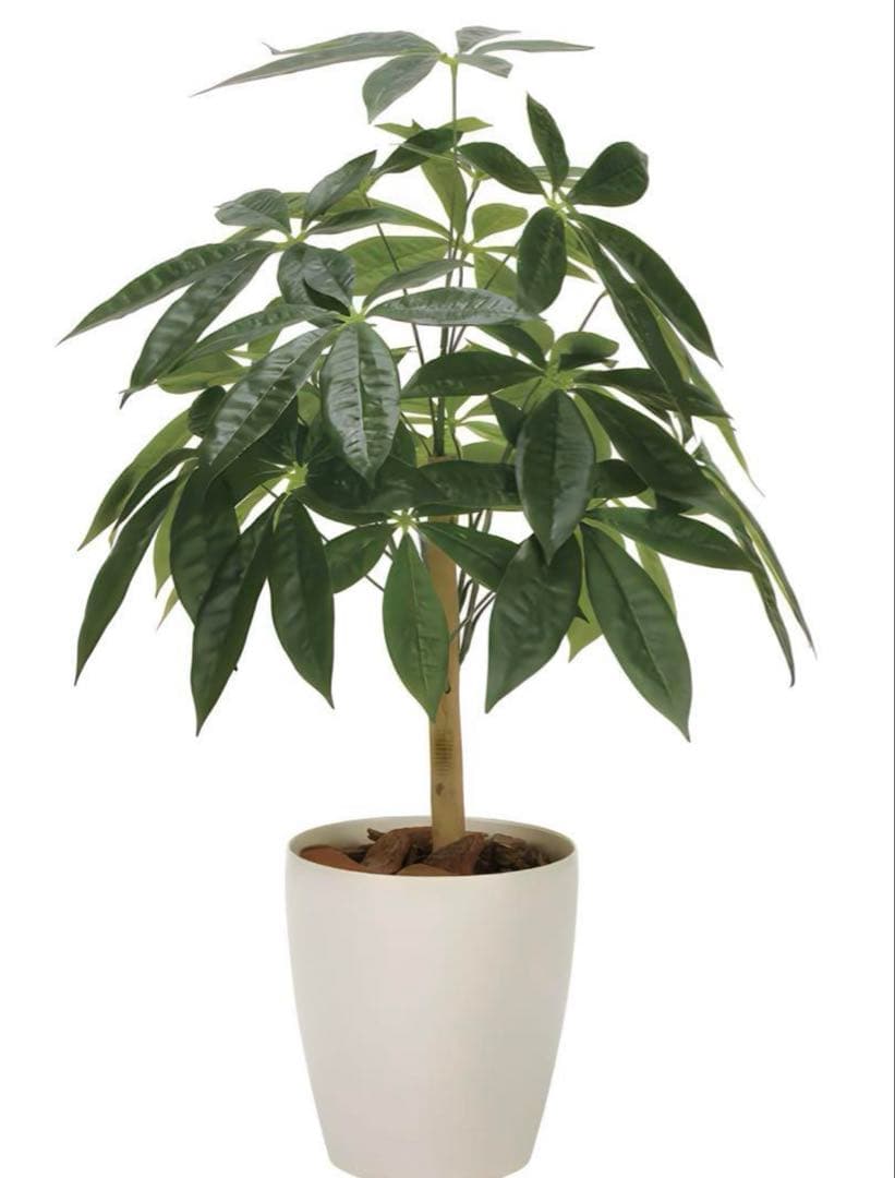 光触媒　人工観葉植物　ウォールグリーン　フェイクグリーン　パキラ72