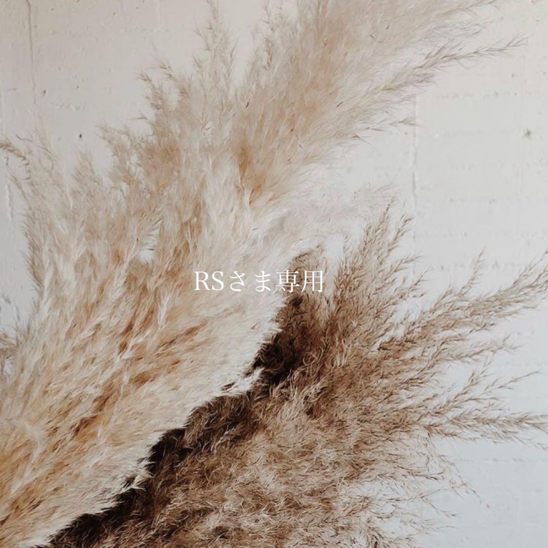 RSさま専用