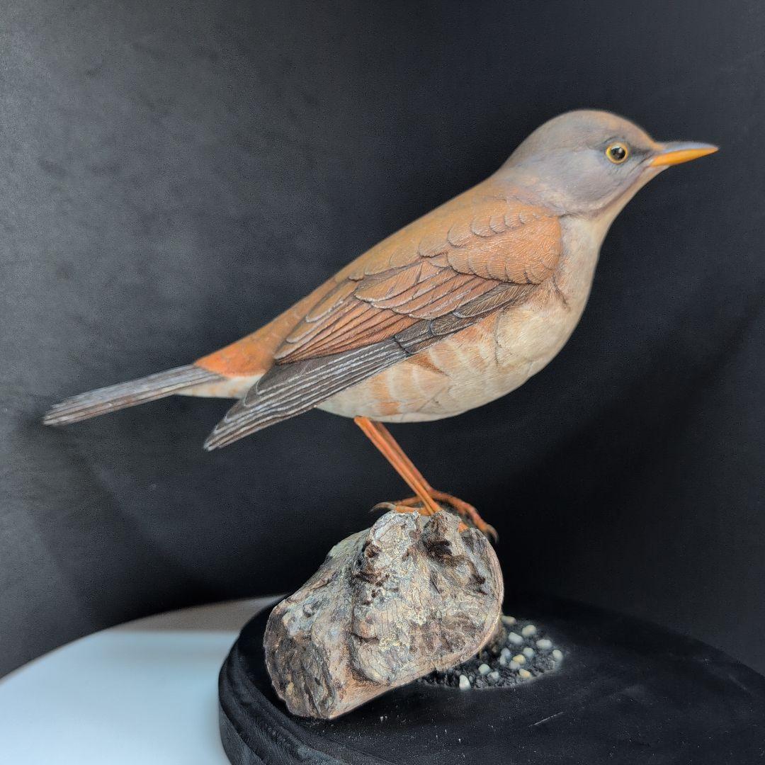 リアルな木製の野鳥　「シロハラ」野鳥彫刻バードカービング　木彫りの野鳥