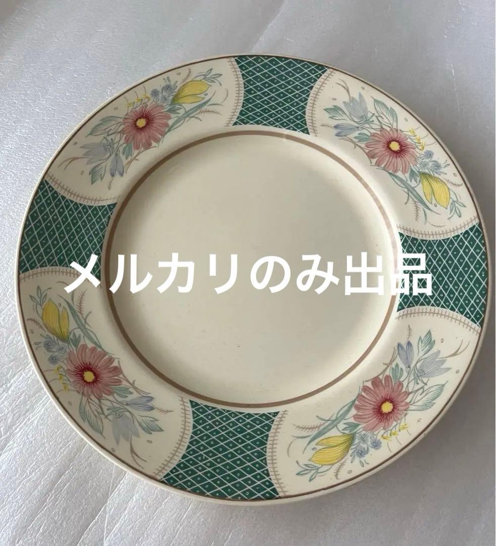 スージークーパー パネルスプレイ　ディナープレート　23cm