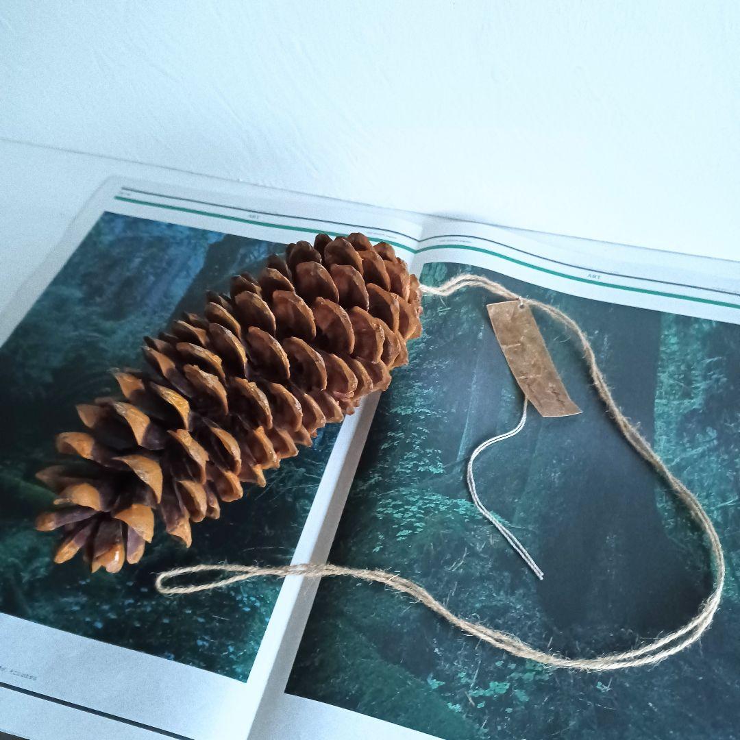 【魔女の棲む森～Pinus lambertiana～】ドライフラワー 松ぼっくり