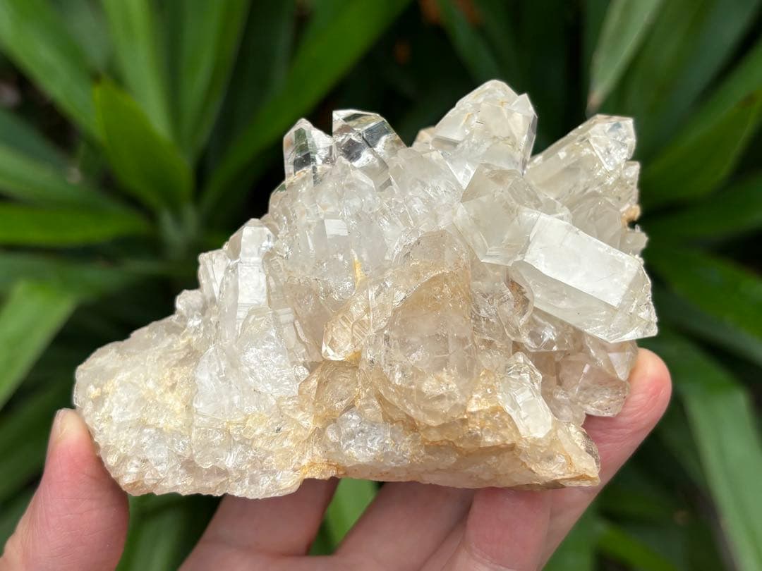 インド　ジャイナラ産水晶クラスター　422g ヒマラヤ水晶 透明度　照り艶