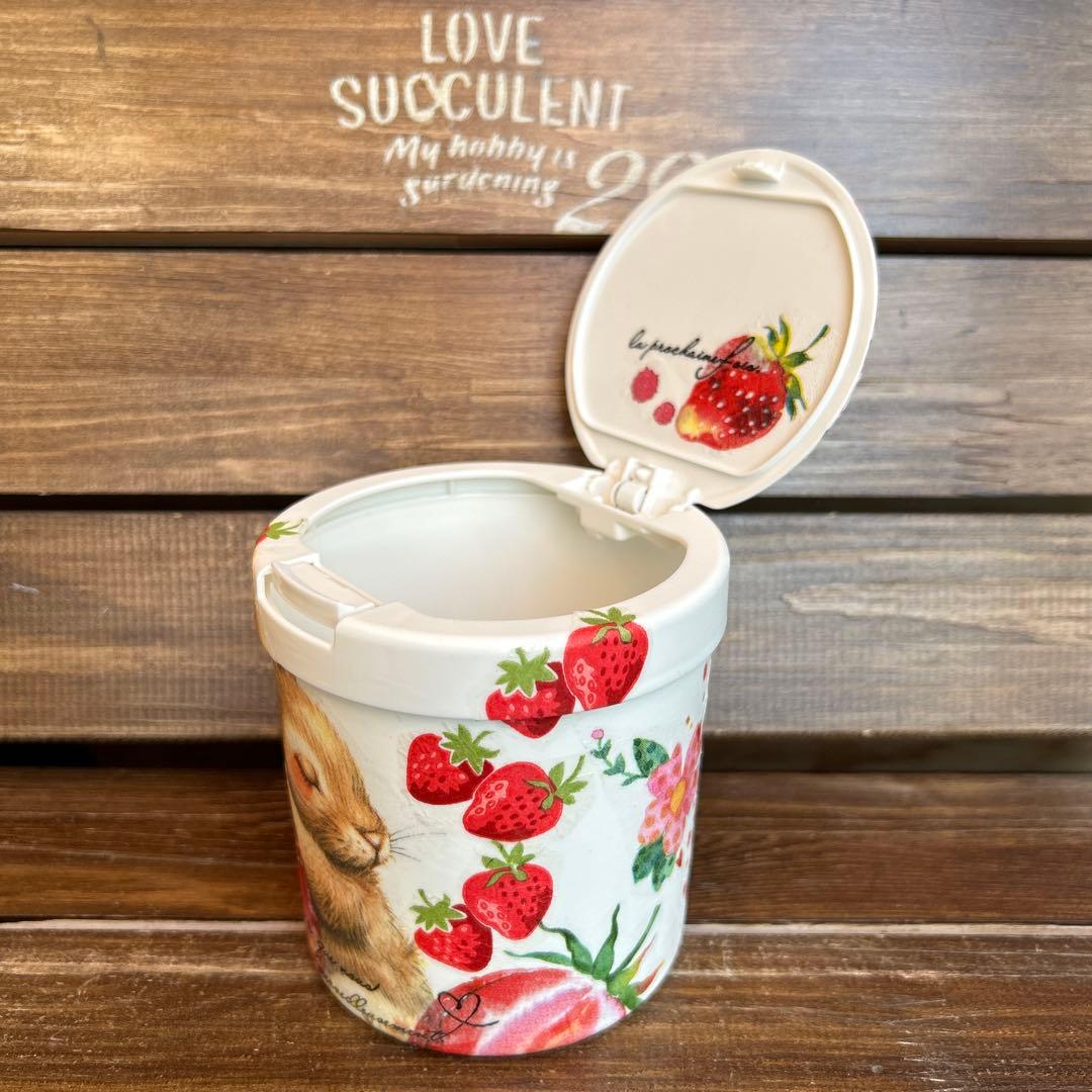 売切れ　リメイク　綿棒ケース　 大きな苺とおねむなうさぎさん