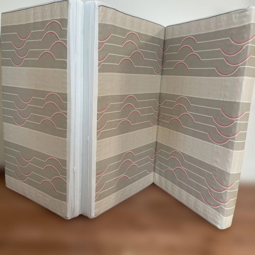 ヘルスウェーブゴールド（日本直販総本社）残2個