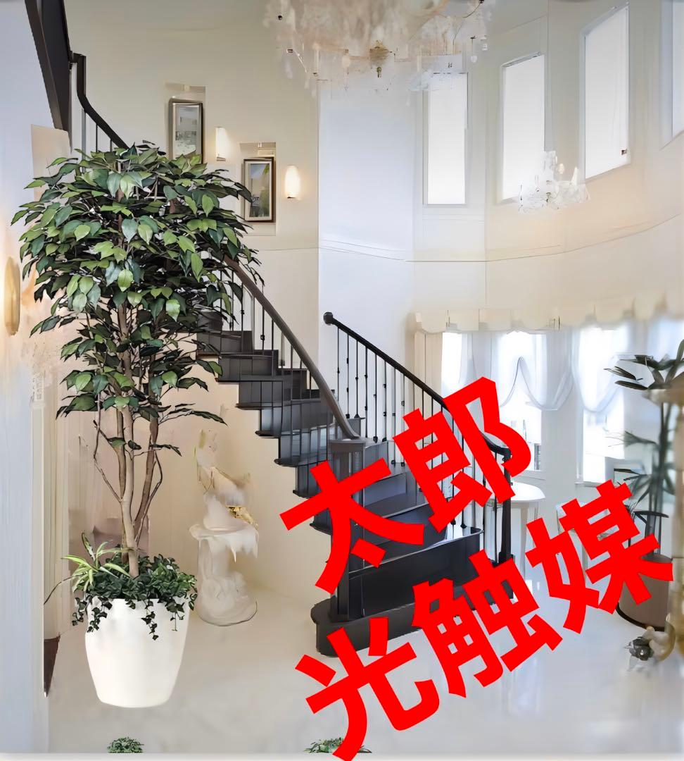 光触媒　人工観葉植物　ウォールグリーン　フェイクグリーン　ベンジャミン下葉付き