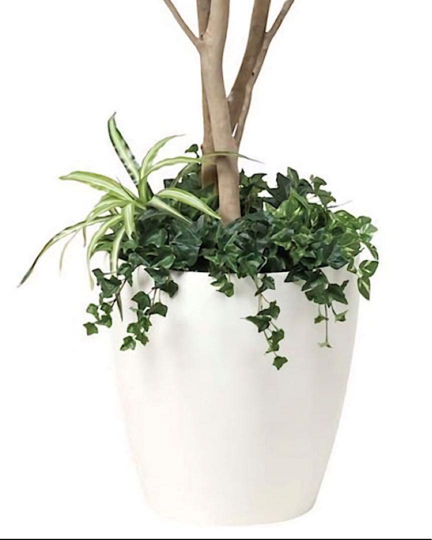 光触媒　人工観葉植物　ウォールグリーン　フェイクグリーン　ベンジャミン下葉付き