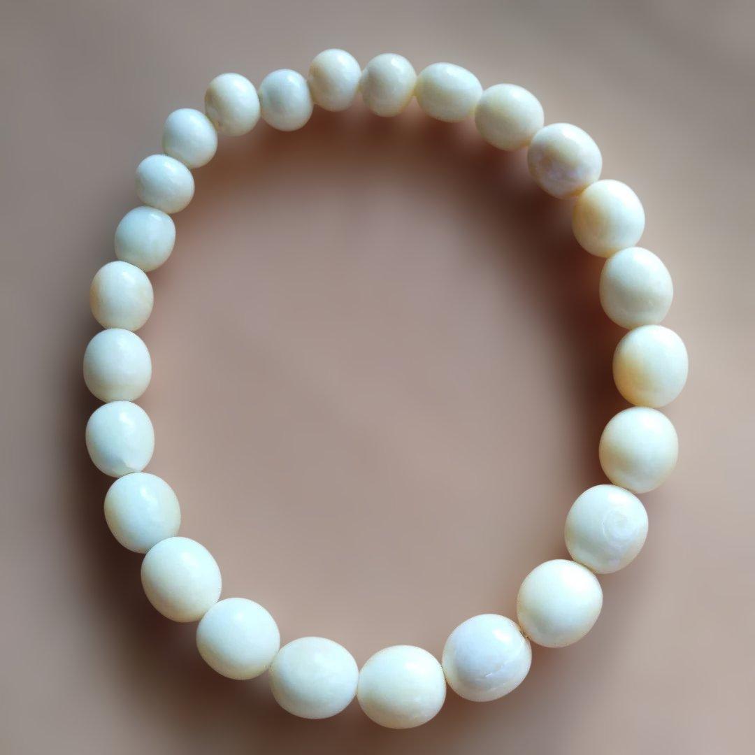 鯨歯　マッコウ鯨　牙玉ブレスレット　22.5㎝