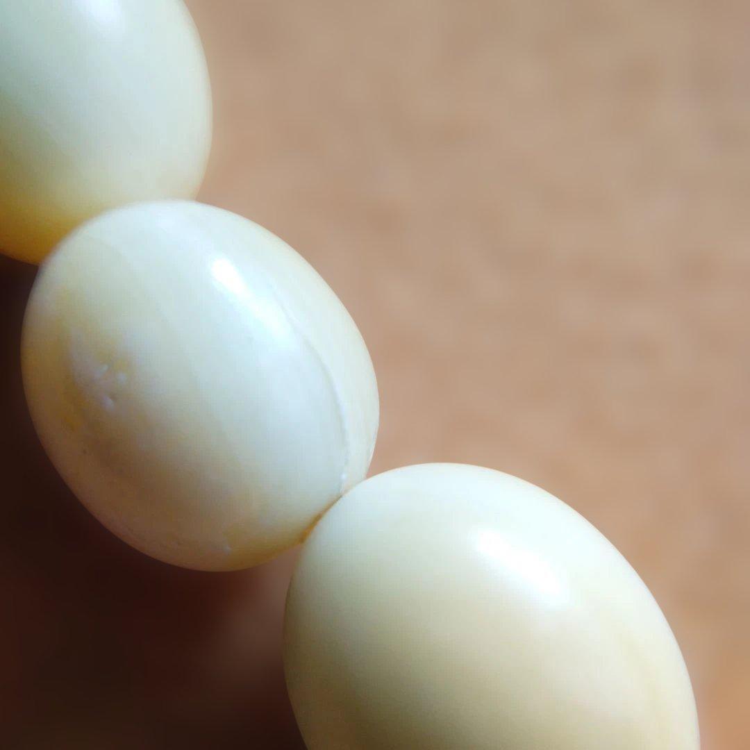 鯨歯　マッコウ鯨　牙玉ブレスレット　22.5㎝