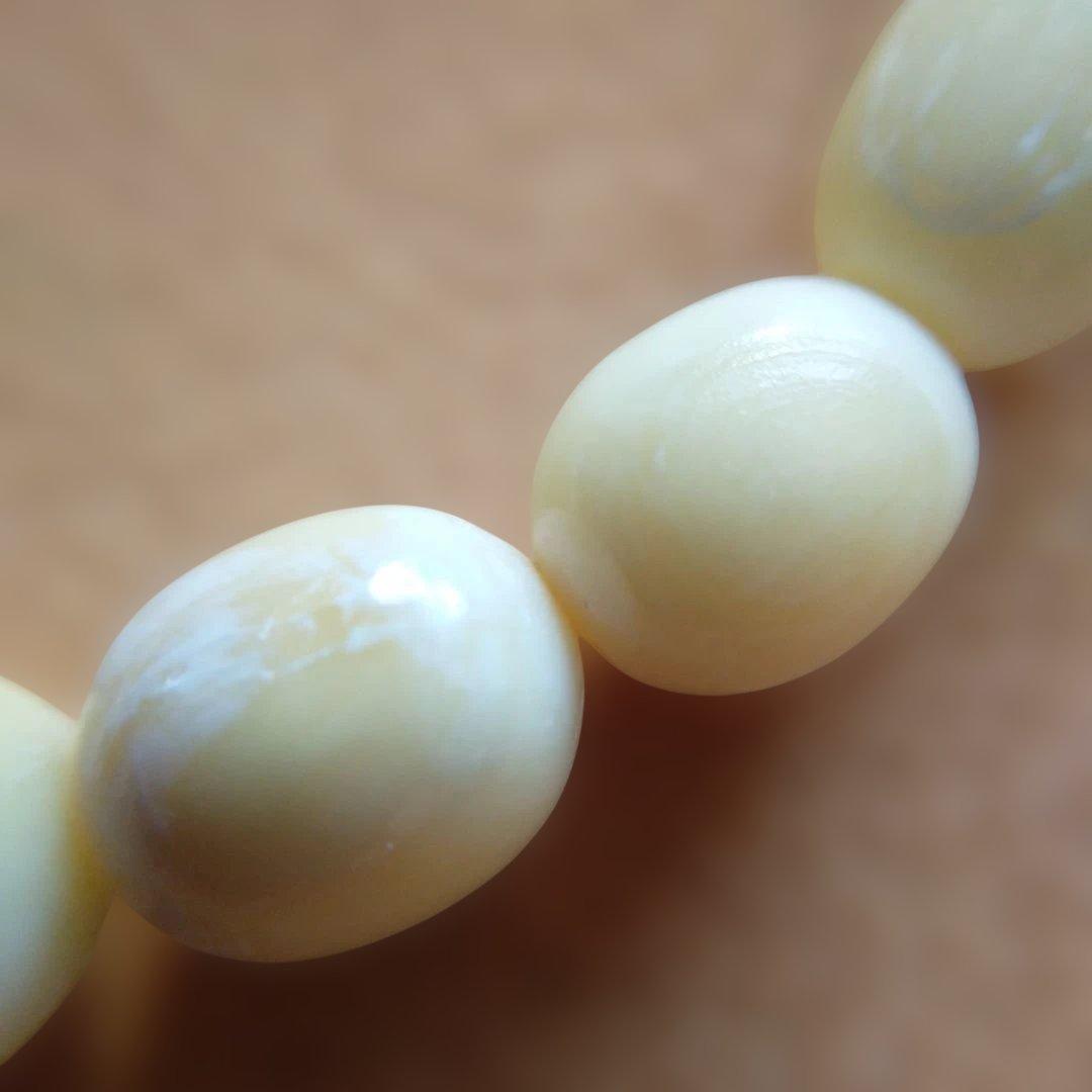 鯨歯　マッコウ鯨　牙玉ブレスレット　22.5㎝