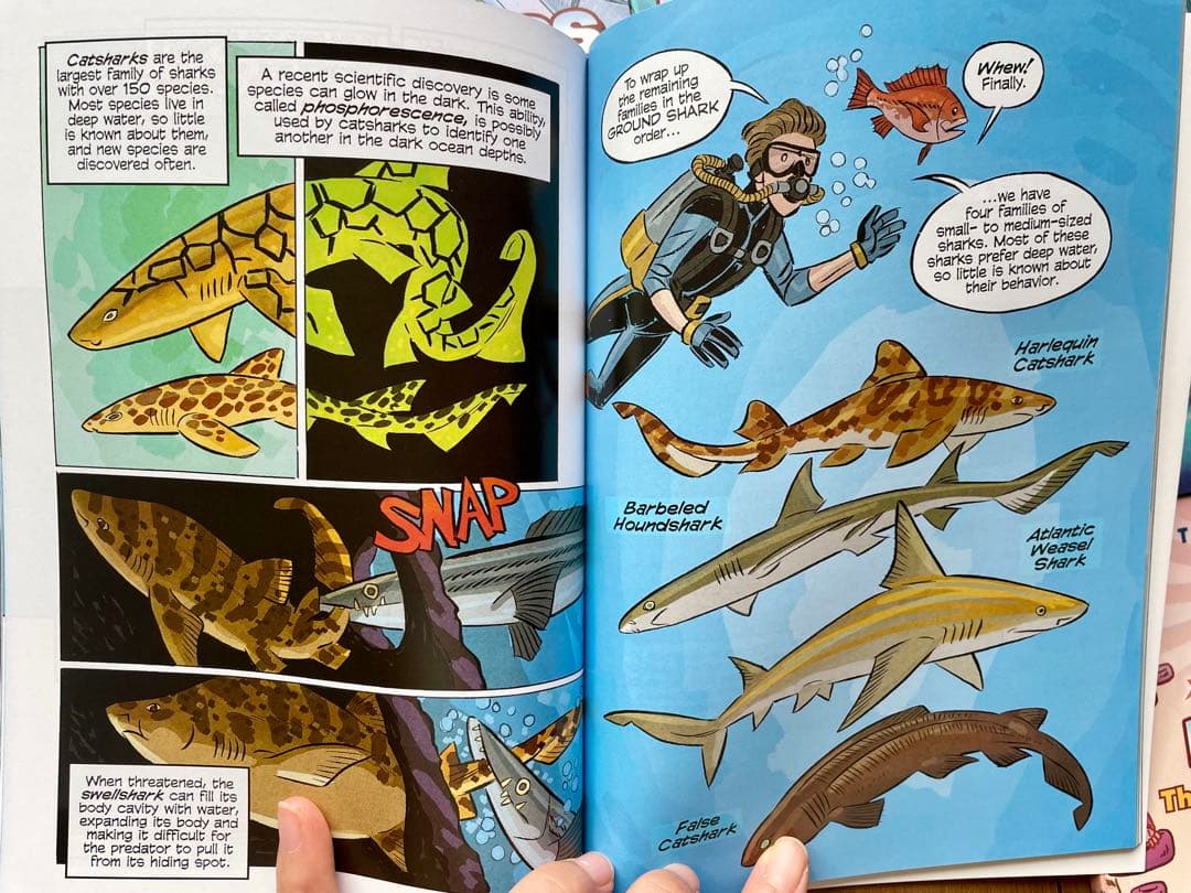 新品Science Comicsシリーズ29冊　洋書　英語絵本　漫画