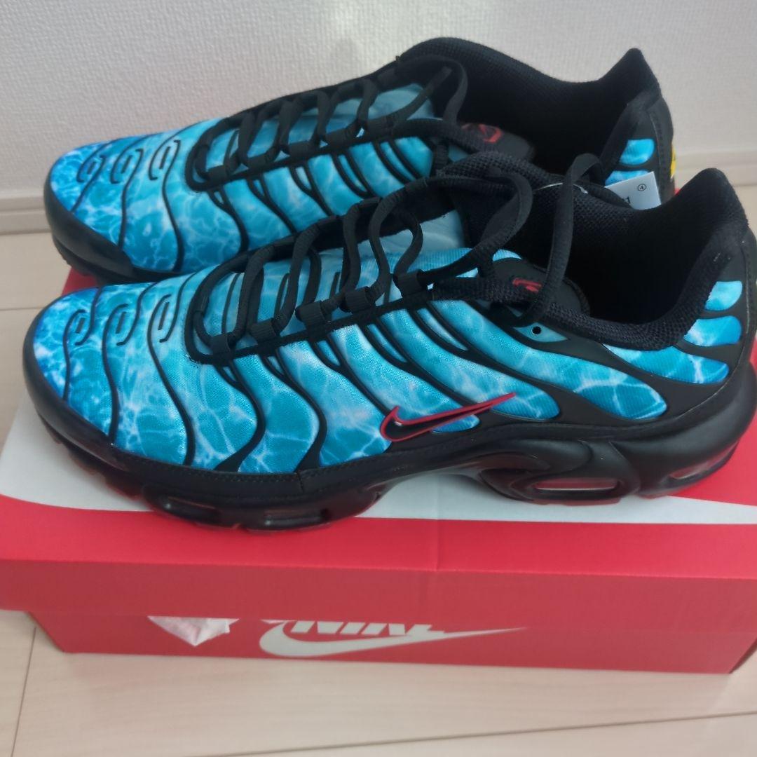 靴 NIKE AIR MAX PLUS 10.5 (US)