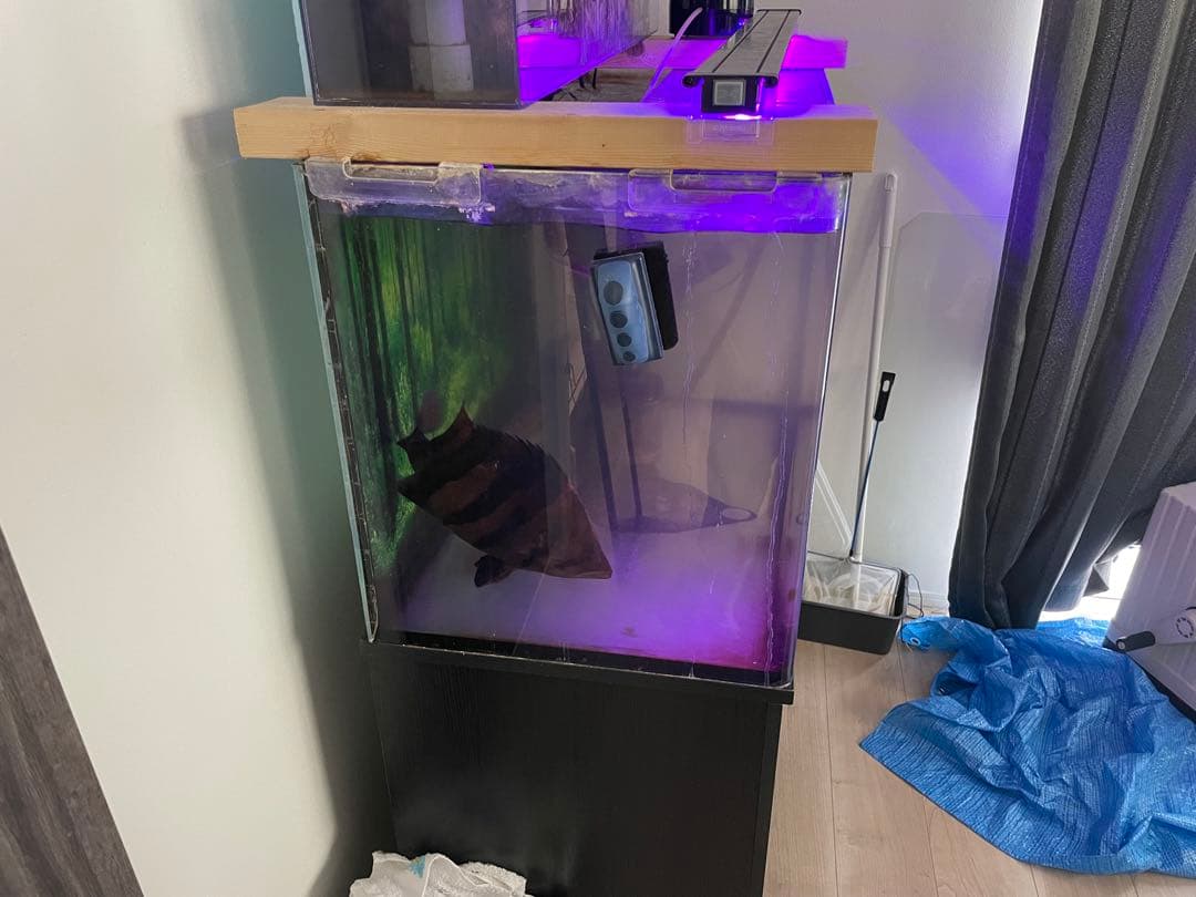 ガラス水槽セット　90センチ　引き取り限定