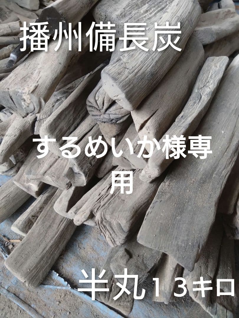 するめいか 半丸１３キロ