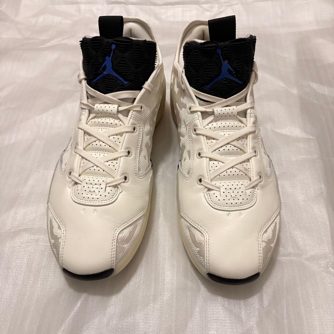 シューズ(男性用) Nike Air Jordan 39 29cm