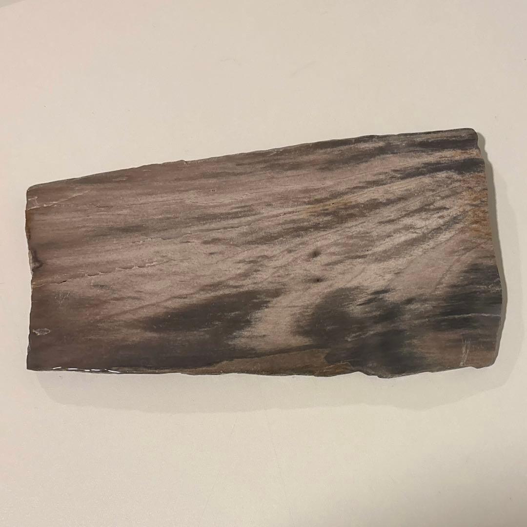天然石オブジェ／化石化した木片（結晶あり）インテリア・撮影小