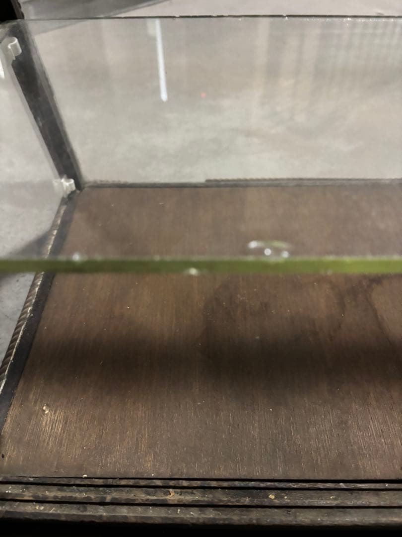 ビンテージ　昭和レトロガラスケース 墨田区から10kmまで配達