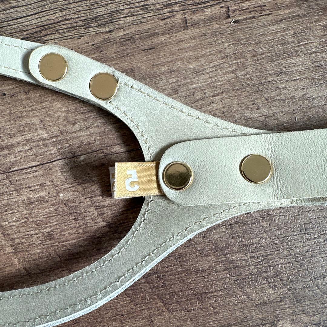 バディベルト　 BB バハマ 5号　 アクセントリード