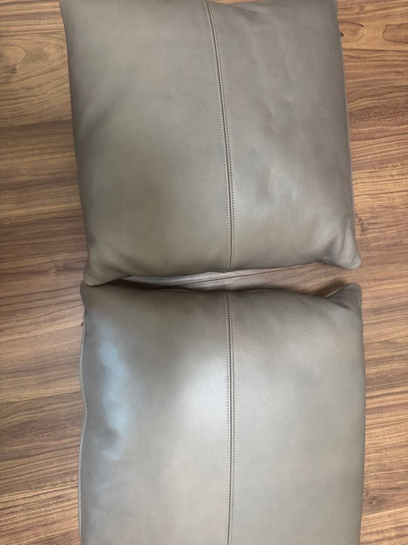 （2個セット）カッシーナ・イクスシー レザークッション FZ革