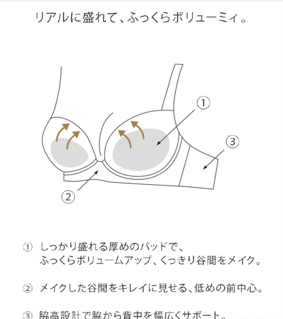 サルート B70/M 07G PU リアルアップブラ ドイツの花嫁