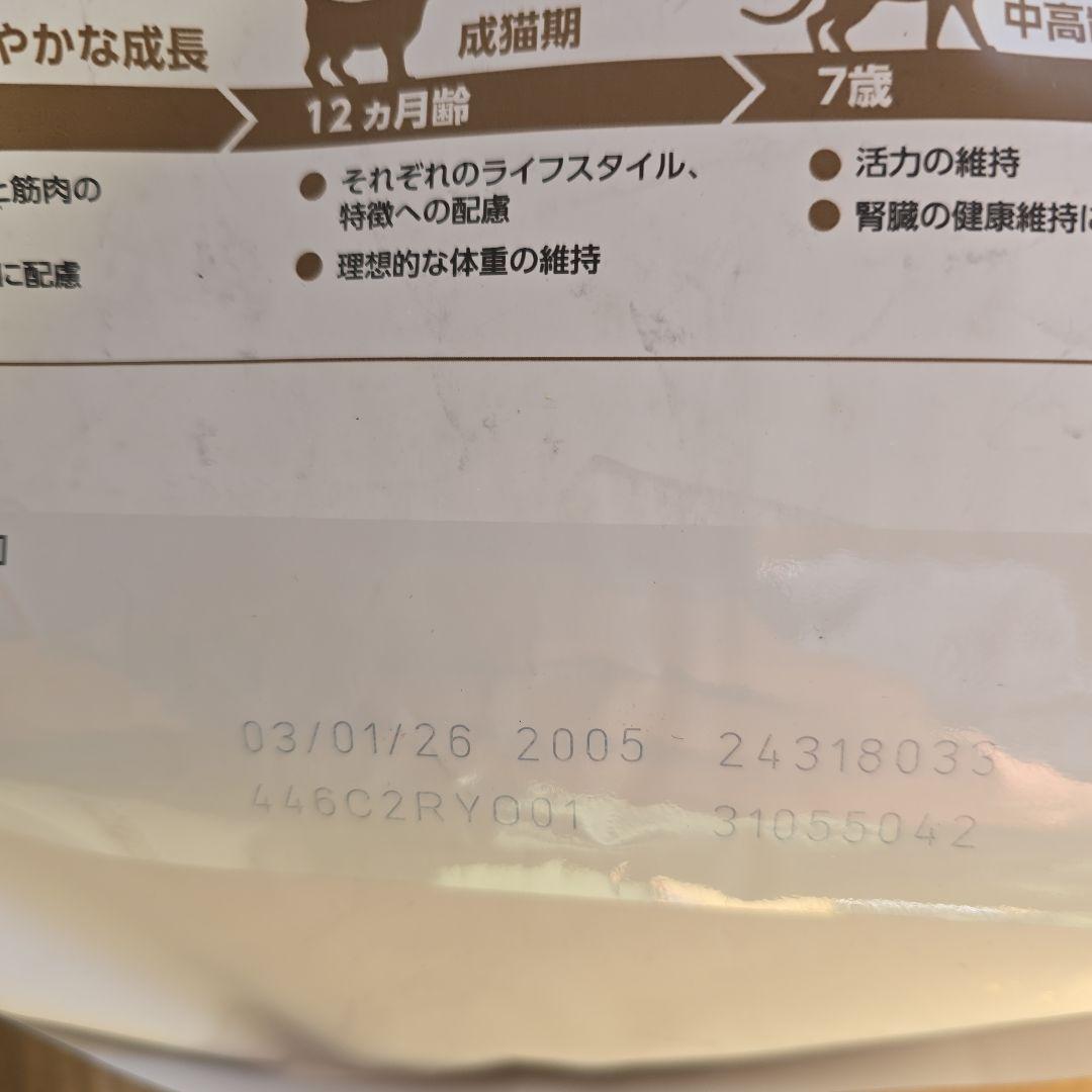 2個セット  CANIN 高齢猫用 ドライフード 4kg