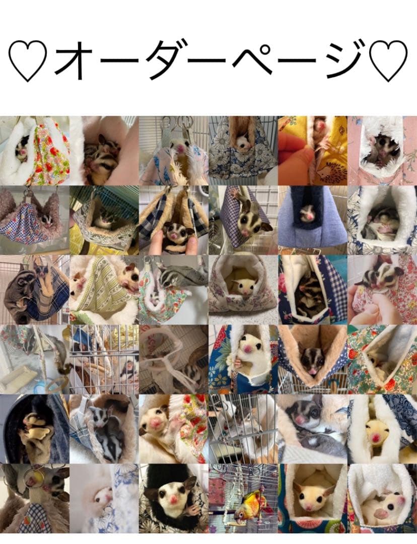 フクロモモンガ  オーダーページ