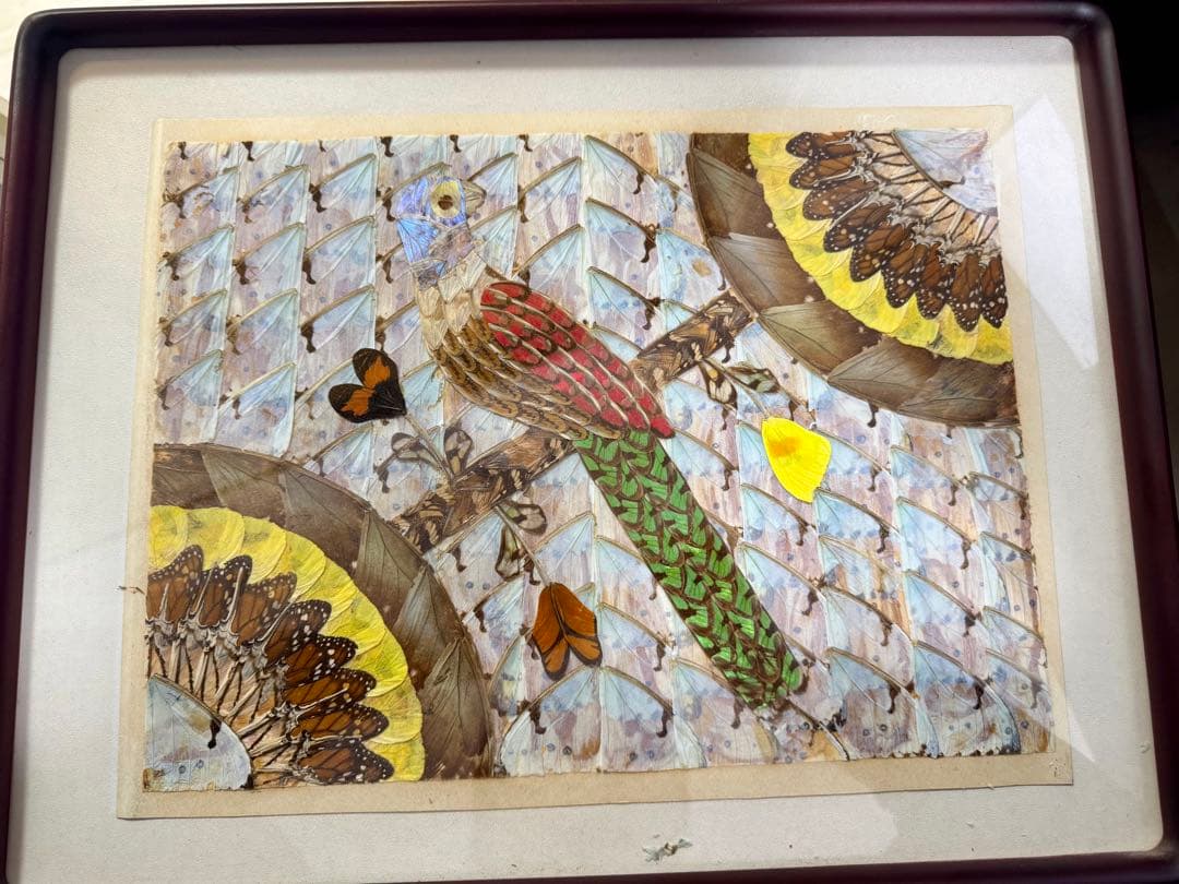 インテリア　アート アンティーク　モルフォ蝶 羽絵 額装 羽細工 蝶標本 壁掛け